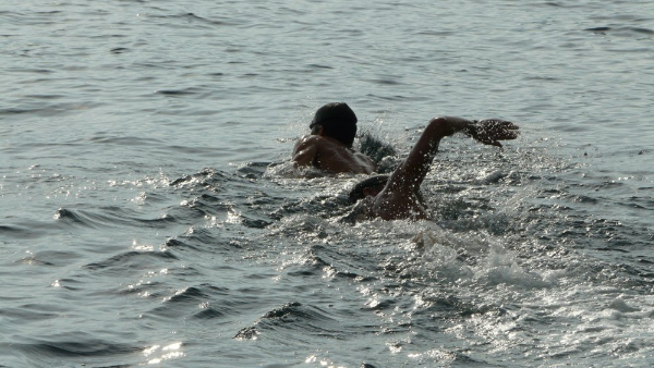Stage en Martinique avec Swimtheriviera - 11 au 18 février 2017