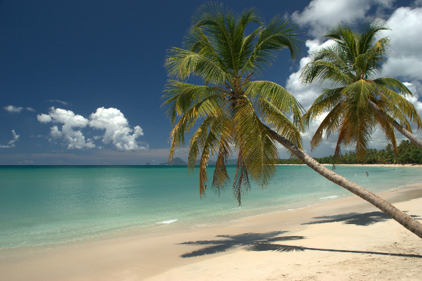 Stage en Martinique avec Swimtheriviera - 11 au 18 mars 2017