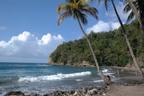 Etape Relais du Volcan de la Coupe de Martinique en eau libre - 5 km en mer au Carbet en Martinique - 8 janvier 2017