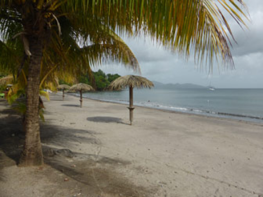 Etape Wendy BADIAN de la Coupe de Martinique en eau libre à Schoelcher en Martinique - 27 novembre 2016