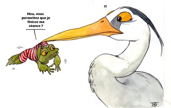 Brèves de plongeoir: Fais pas ton héron !