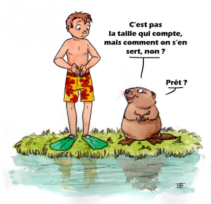 Brèves de plongeoir: A vos marques, Prêt ? Palmez !