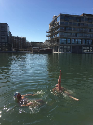 Ballet aquatique ...