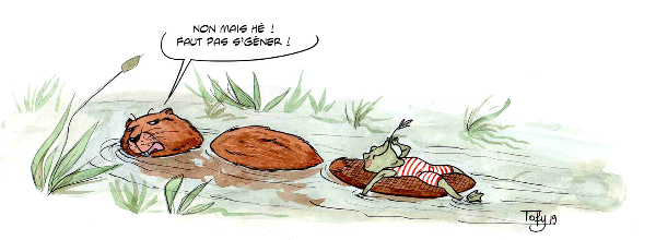 Brèves de plongeoir:  Coule la vie !