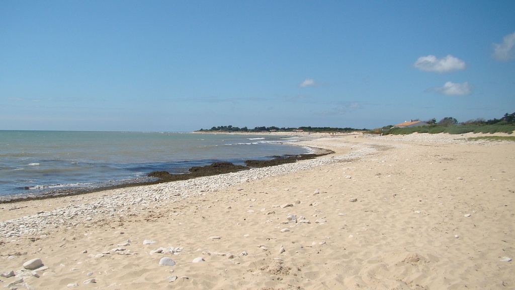 avis plage de la salee