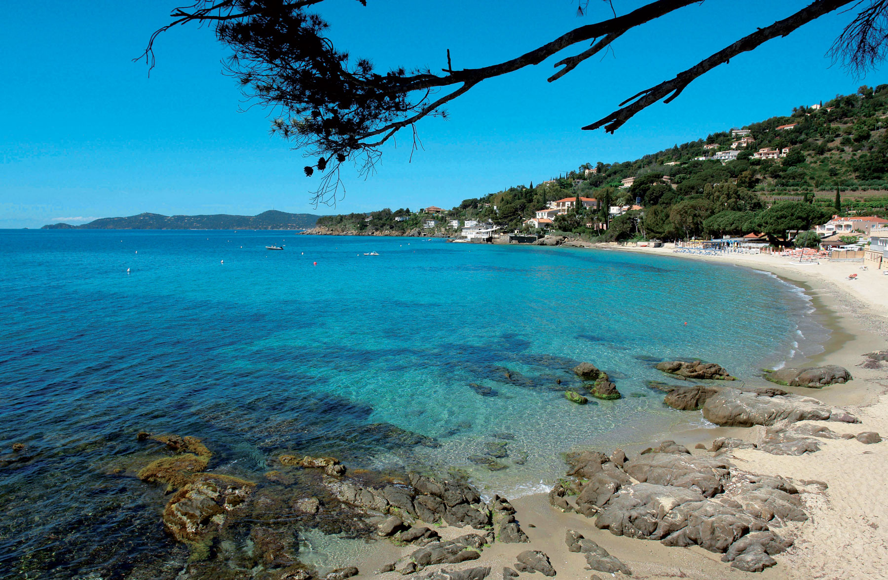 Avis Plage Daiguebelle Au Lavandou