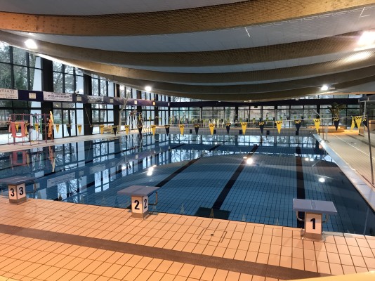 PISICNE DE LA FAISANDERIE À FONTAINEBLEAU