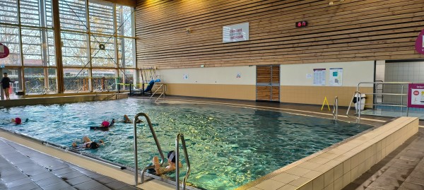 PISCINE ANDROSACE À COURNON D'AUVERGNE